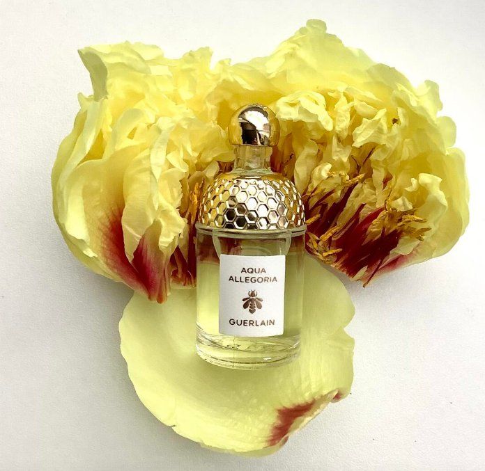 Guerlain Profumi & Eau de Toilette: Guerlain Nerolia Vetiver - 2ml - Tester/Sample – Nuovo (secondo la descrizione) da Bellinzona venduto da francescouv 1