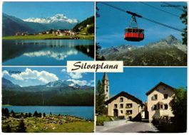 Silvaplana - 4 Bild AK