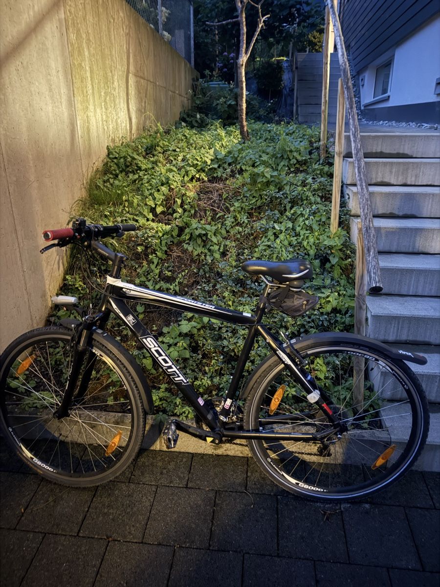 Scott Vélos: Scott fahrrad/bike – D'occasion à Buochs par jus_n97b