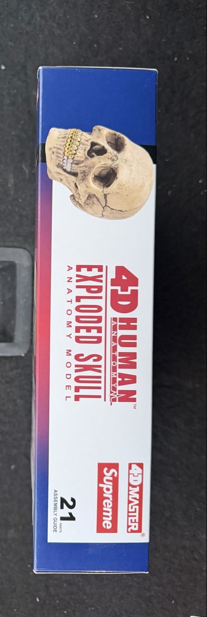 Kit di modellismo & Modellini statici: Suprême Modèle Anatomique Crâne  – Nuovo e nell'imballaggio originale da meyrin venduto da aar_g8xm 2