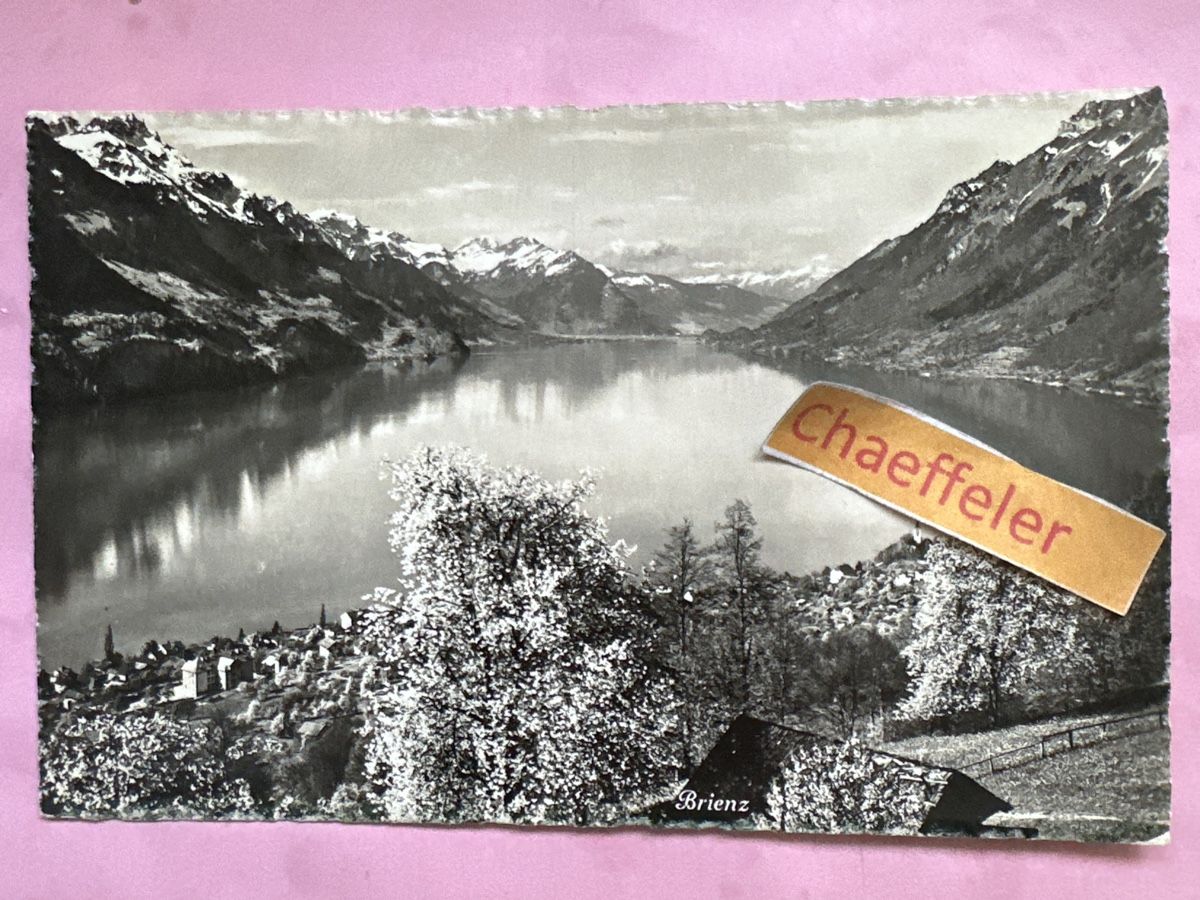 Ansichtskarten: 1942 Feldpost Brienz – Gebraucht aus Zürich von Chaeffeler