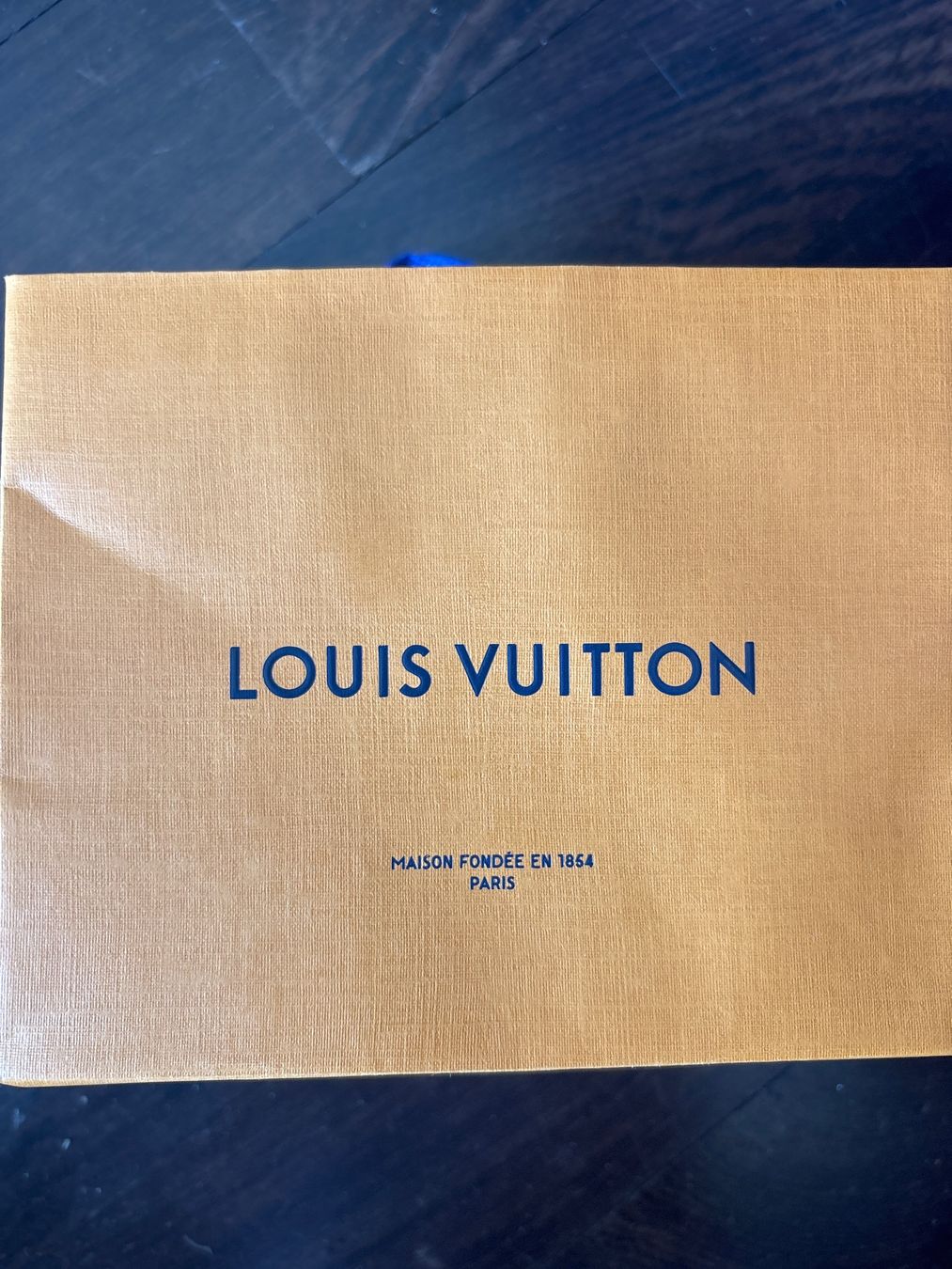 Louis Vuitton Taschen: Louis Vuitton – Gebraucht aus Chiasso von Aupa74 7
