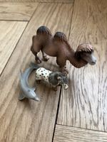 3 Schleichtiere (Kamel, Pferd, Delfin)