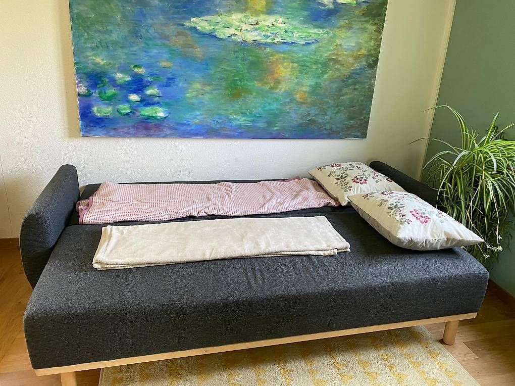 Divani: Bettsofa Ikea Grunnarp (Reserviert) – Usato da Liestal venduto da sorryChris 4
