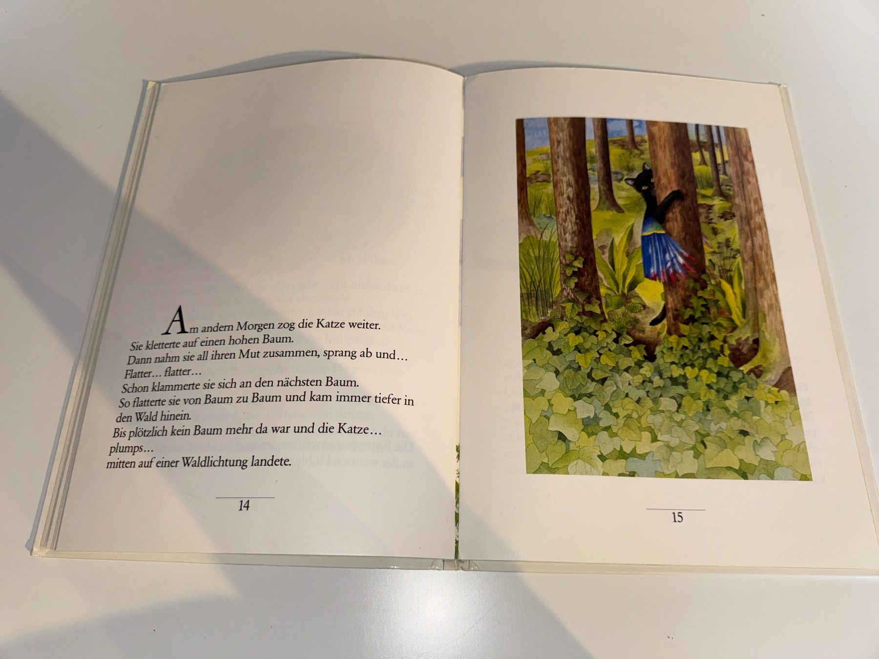 Libri: BUCH: Emil Zopfi, Die fliegende Katze – Usato da Grosswangen venduto da Kleine.Knoepfe 5