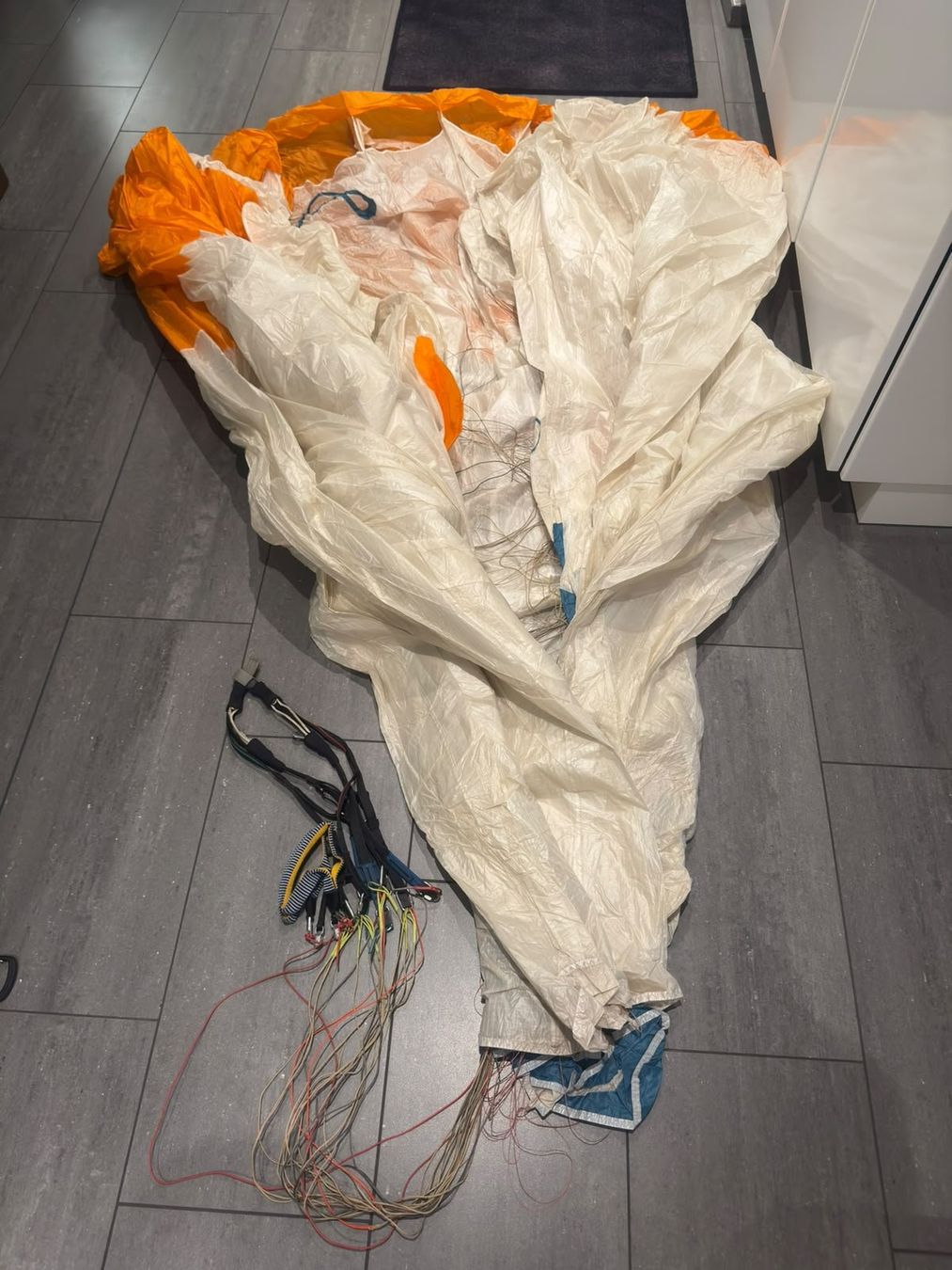 Flug- & Drachensport: Advance Pi2 19 50-95kg – Gebraucht aus Matten b. Interl von Skygirl4405 1