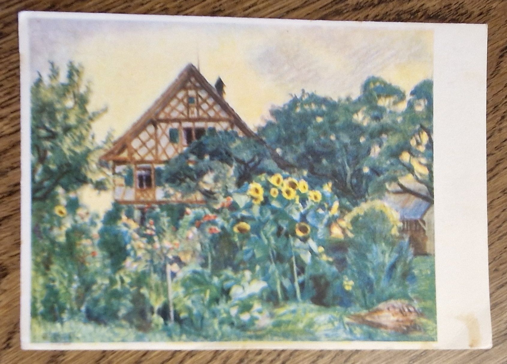 Cartoline postali: Pro Infirmis, Lanschaft Sonnenblumen, E. Bernet-Studer 1942 – Usato da Ebikon venduto da Donar50