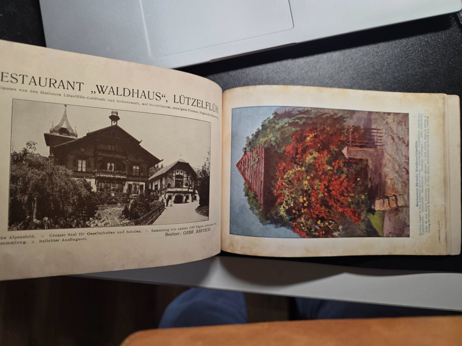 Libri: Worb und das Unter-Emmental - 1921 - Sumiswald – Usato da Walterswil BE venduto da Lonitti 4
