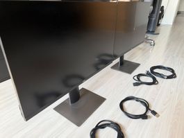 2x Monitor Dell P2719h (27 Zoll)