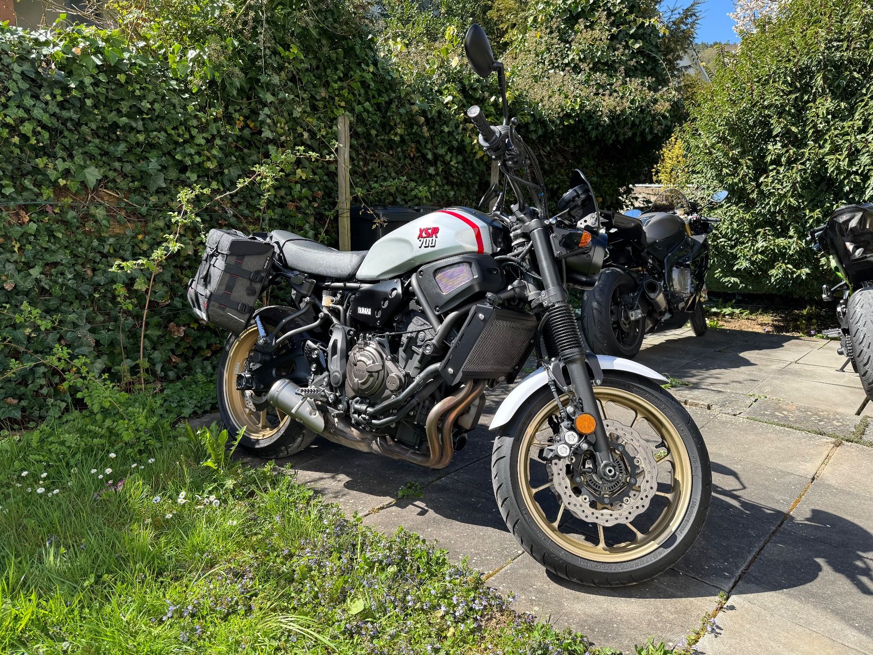 Yamaha Strasse: YAMAHA XSR 700 XTribute – Gebraucht aus Schinznach Dorf von Schinichii 3