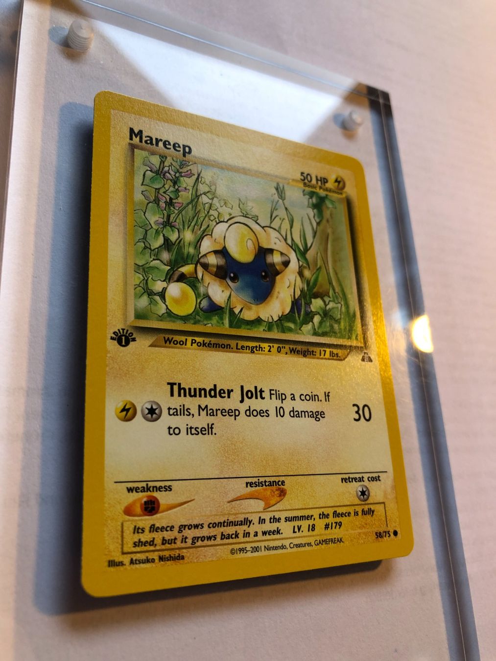Carte collezionabili: Mareep 1st Neo Discovery - MINT - ab 1.- – Usato da Giubiasco venduto da dan_pr8b 1