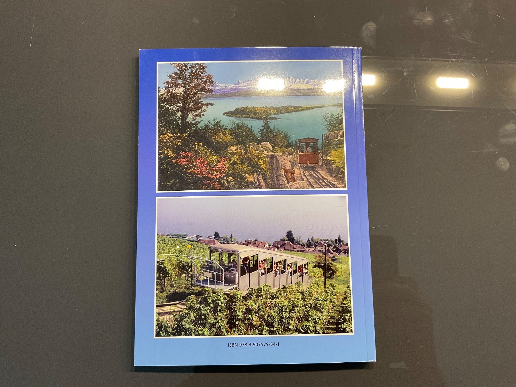 Libri: Buch Vinifuni Ligerz-Prêles – Nuovo (secondo la descrizione) da Ebmatingen venduto da Toeggeli 1