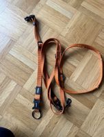 Hund Leine + Halsband Set dogbuster 🐶 