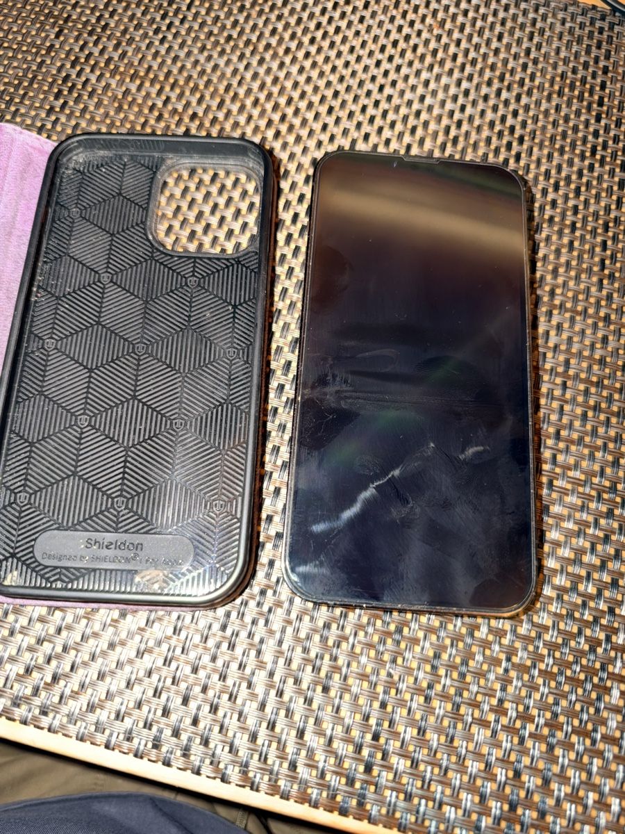 Apple Portables: iPhone Pro Max 13 – D'occasion à Kirchdorf AG par Domigall.Daniel 1