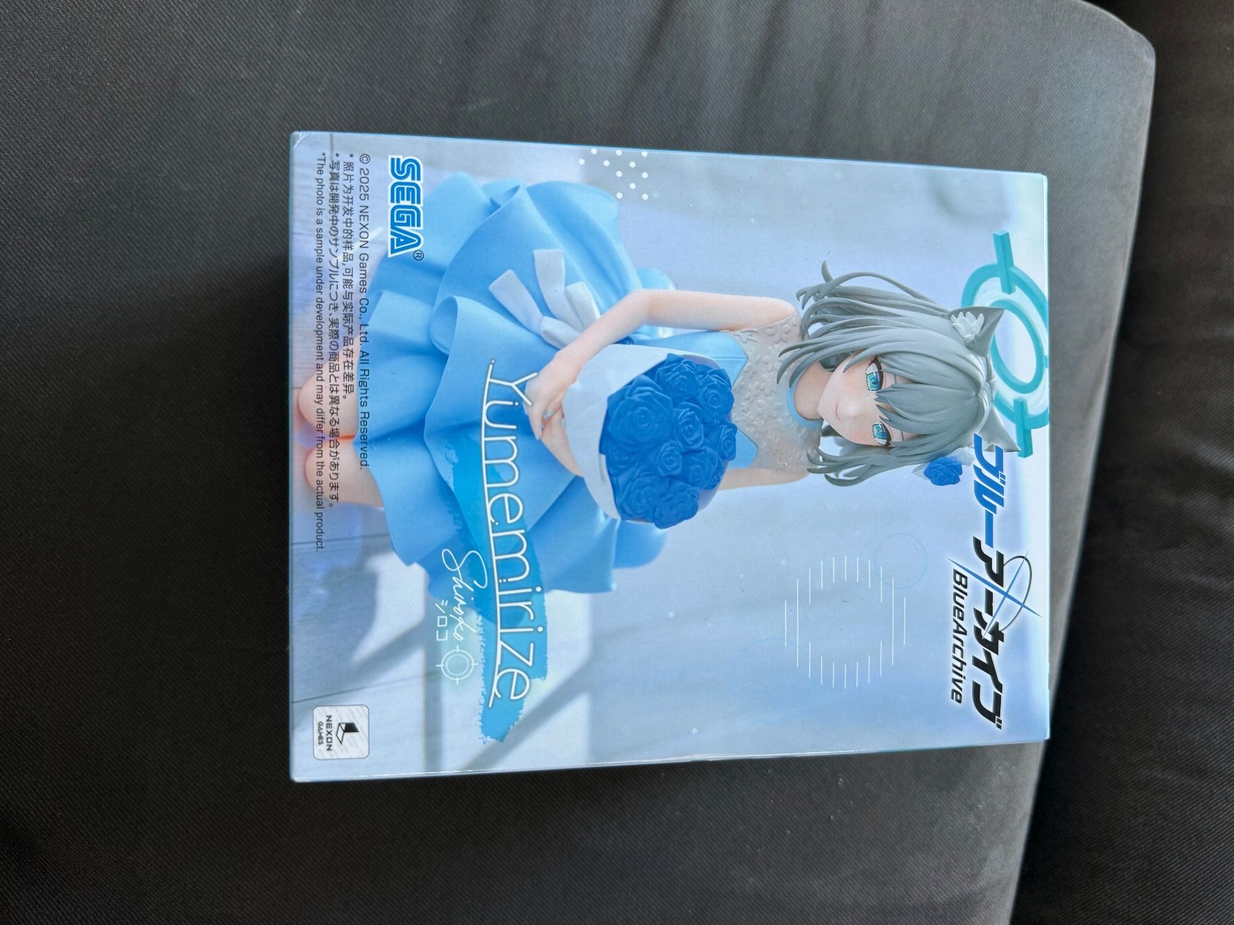 Giocattoli: The Sega Blue Archive Yumemirize Shiroko – Usato da Stadel venduto da silentjelly 2