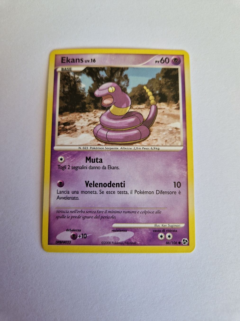 Pokémon Cartes à collectionner: Ekans - Great Encounters - IT – D'occasion à Romont FR par raj_sjv9