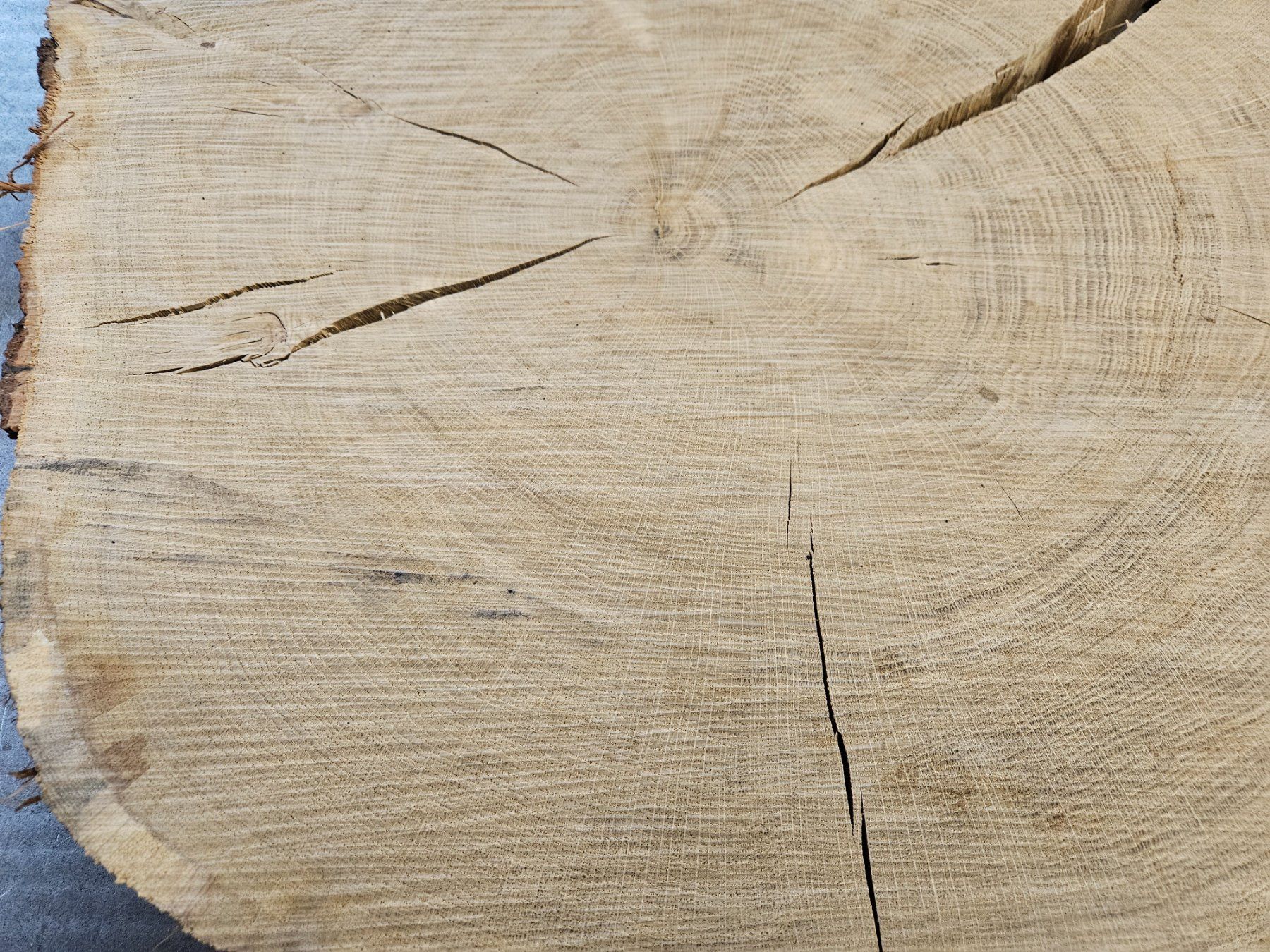 Holzartikel: Eichen Holz Baumscheibe – Neu (gemäss Beschreibung) aus Schangnau von egli6.2 9