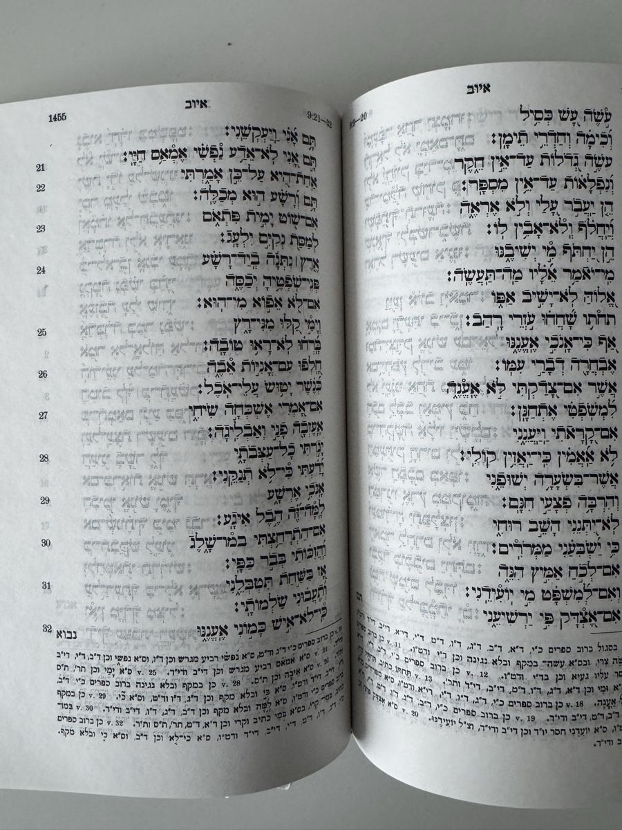 Libri: Bibel AT / NT Hebräisch Torah Tanach – Nuovo (secondo la descrizione) da Emmenbrücke venduto da Balmoral 4