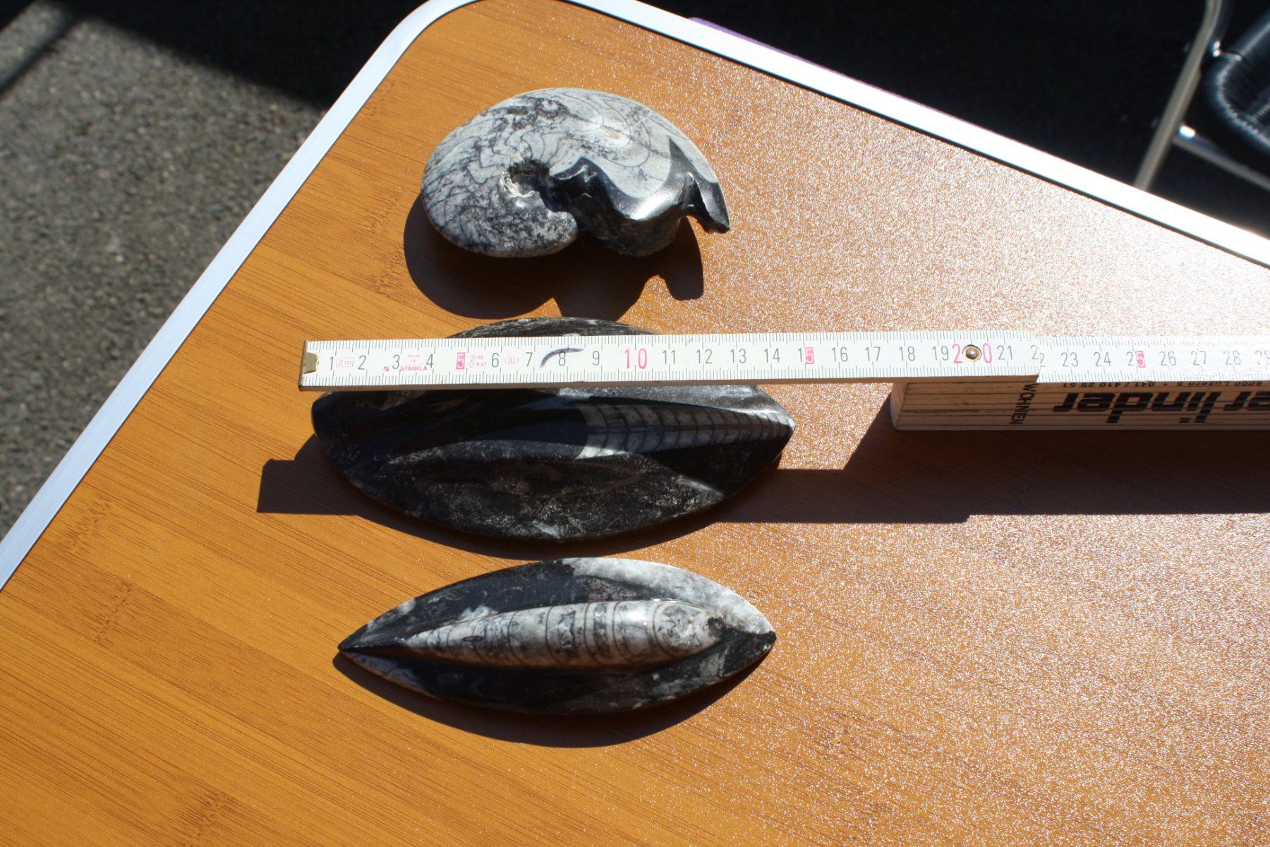 Fossili: 3 SCHÖNE STEINE POLIERT FOSSIL ECHT ?? – Usato da Wauwil venduto da Pneuedy 9
