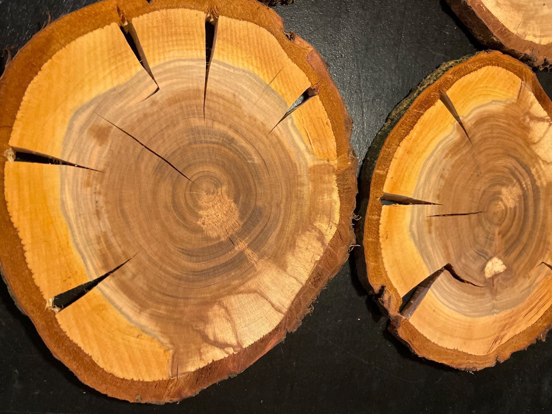 Holzartikel: Holzscheiben Kirsche – Gebraucht aus Brunnen von Holz-style 3