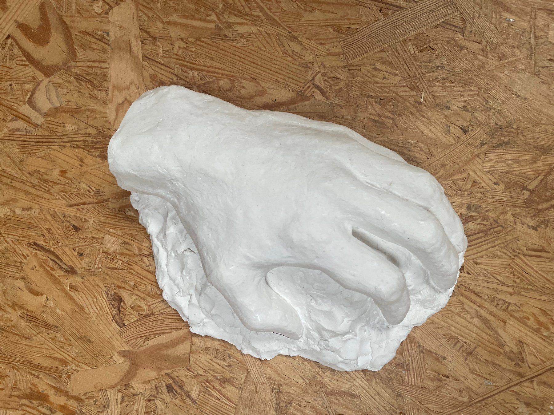 Sculture & Statue: Anatomiestudie Hand aus Gips – Usato da Zürich venduto da Caro55