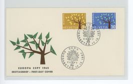 Europamarken 1962, privat illustriertes FDC, US-Format