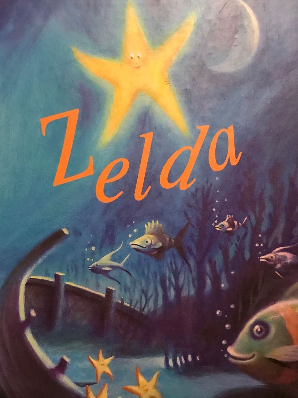 Bücher: Zelda abercrumble – Gebraucht aus Delémont von vcx 2