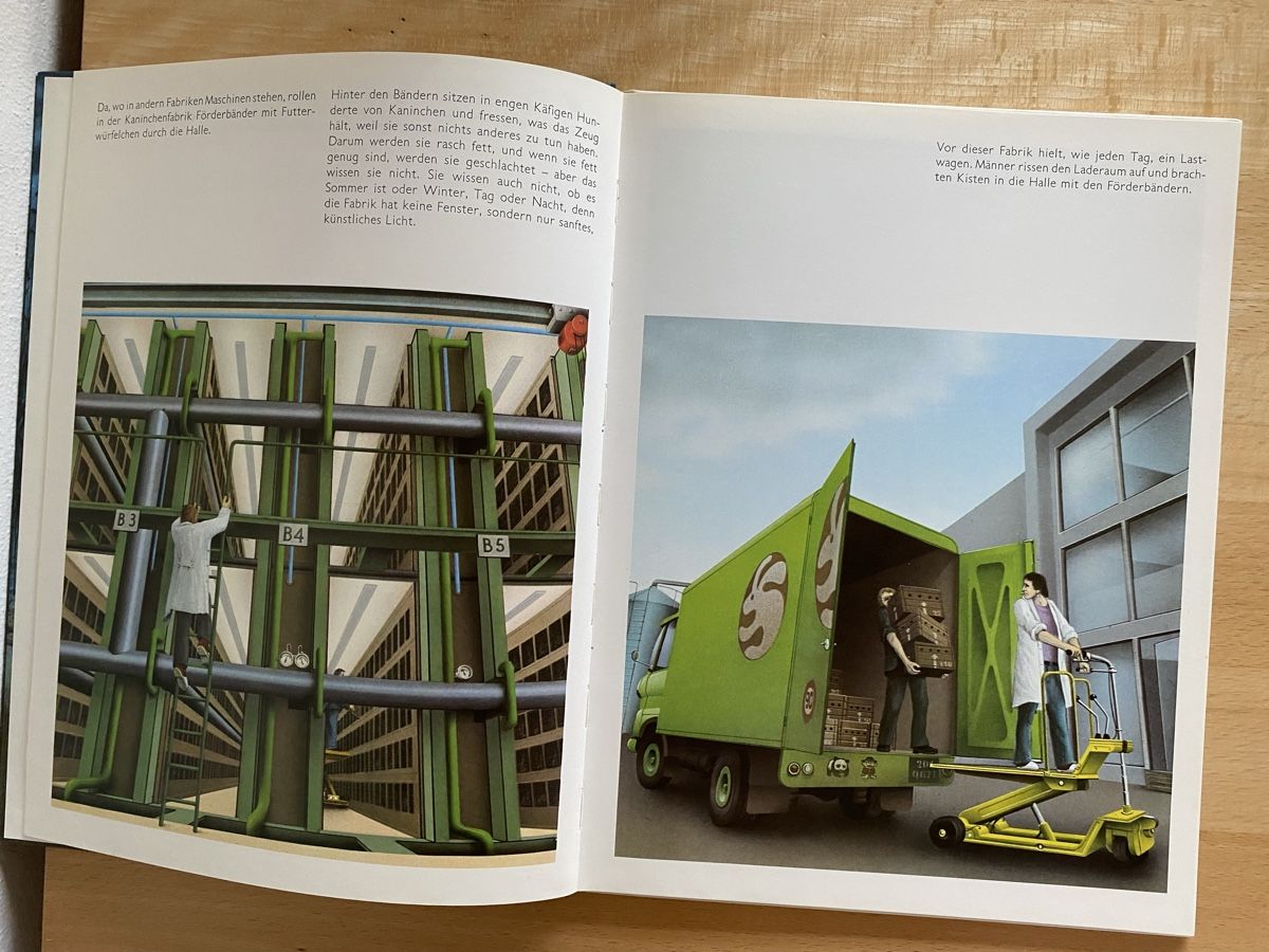 Bücher: Die Kanincheninsel - Jörg Müller/Jörg Steiner – Gebraucht aus Schwarzenburg von Michellu 3