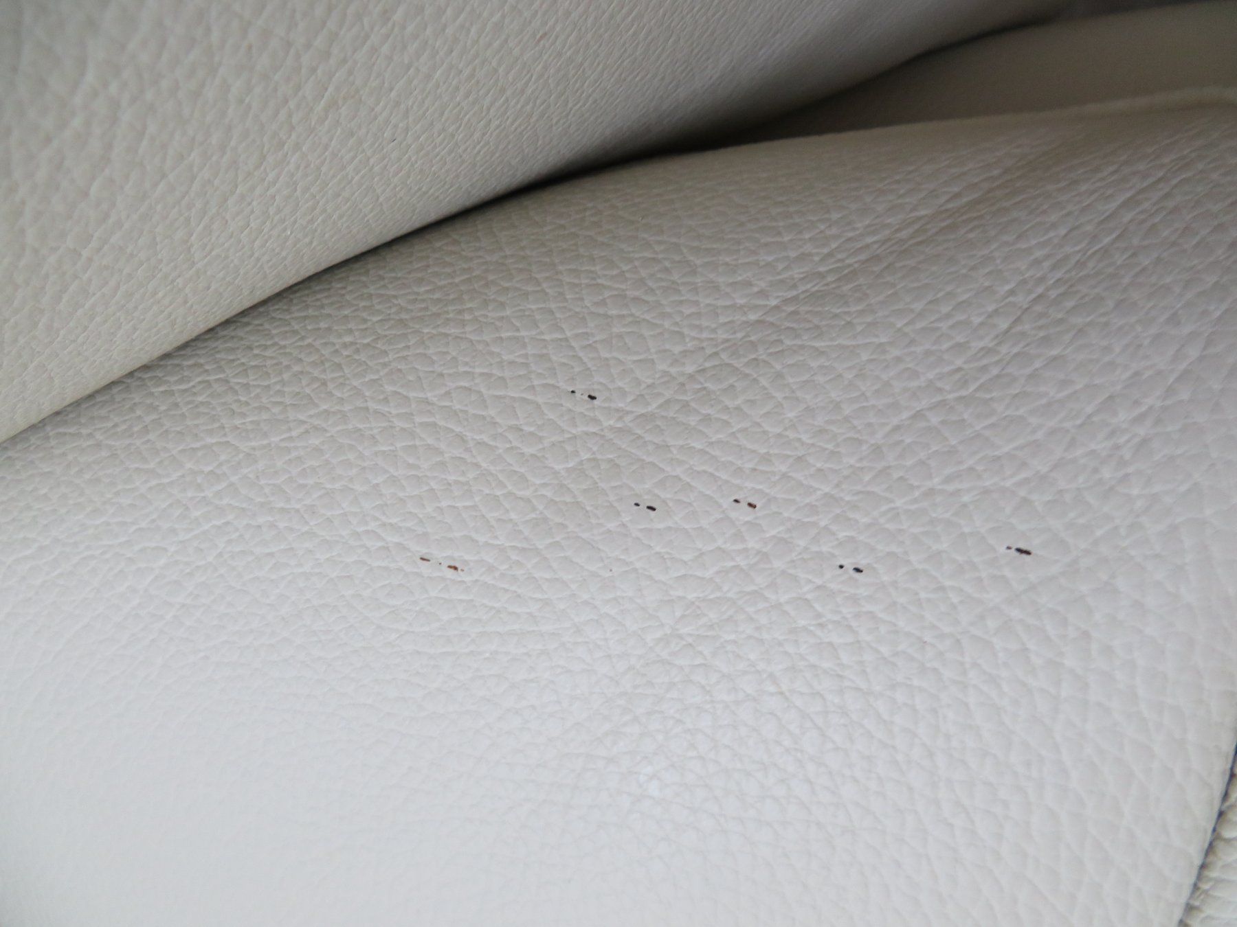 Sofas: Ledersofa von LeuSwiss – D'occasion à Wolfhausen par GSRicky 2