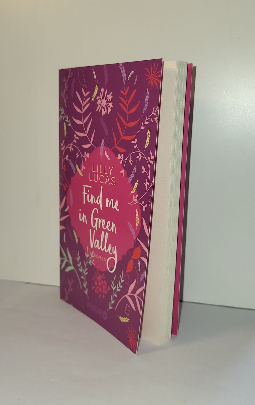 Libri: Find me in Green Valley – Usato da Uzwil venduto da jae_8khn 1