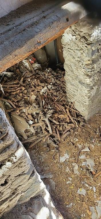 Cheminée: Ceps de vignes pour bois de cheminée  – D'occasion à Sion par sme_gdr7