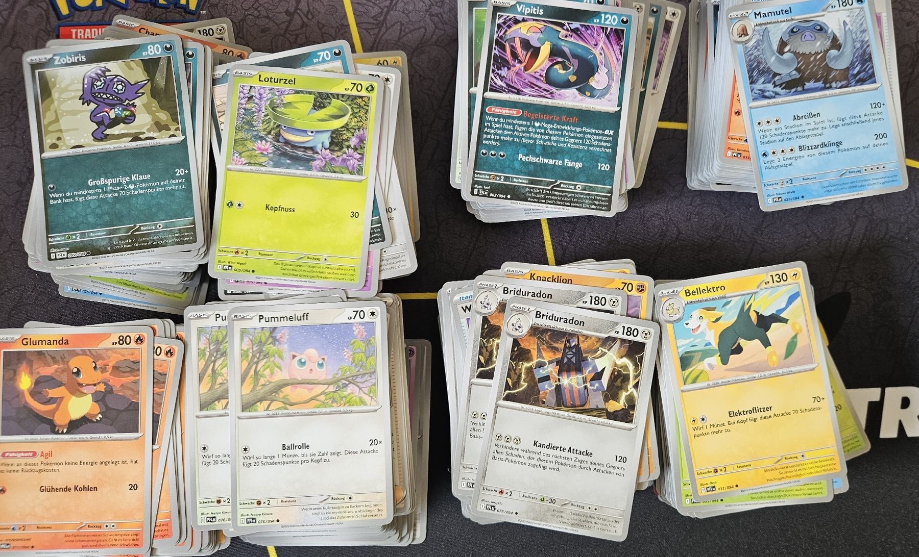 Pokémon Carte collezionabili: Fatale Flammen Bulk – Nuovo (secondo la descrizione) da Schliern b. Köniz venduto da Smurox