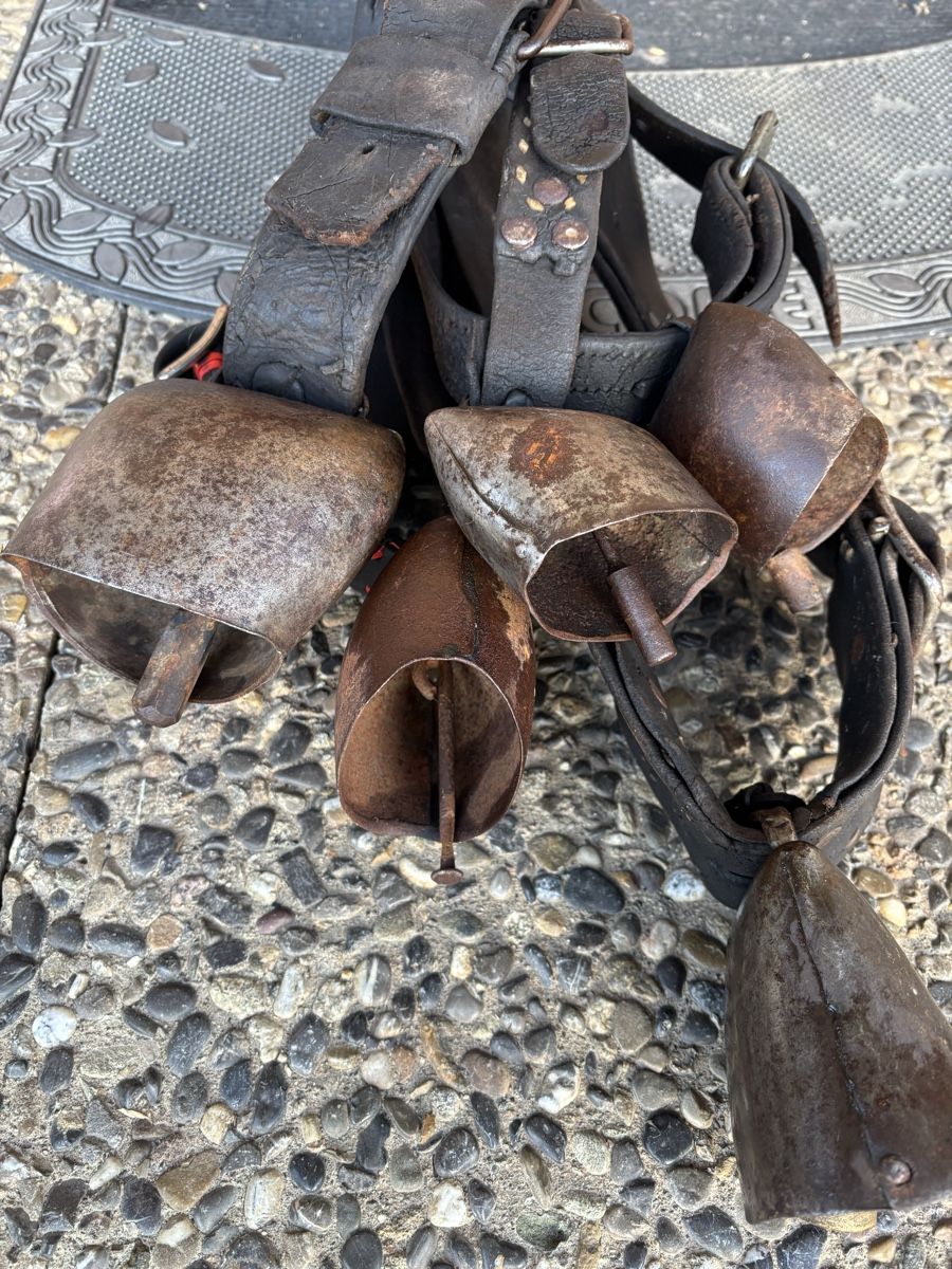 Campanacci mucche: 5 Rindertreicheln – Usato da Schangnau venduto da Roseggli82 2