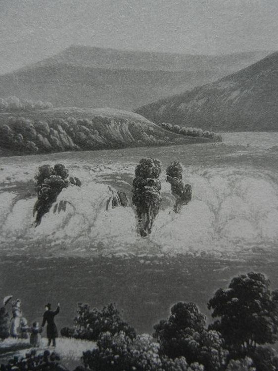Incisioni: Rheinfall Schaffhausen – Usato da Risch venduto da Rischli15 4