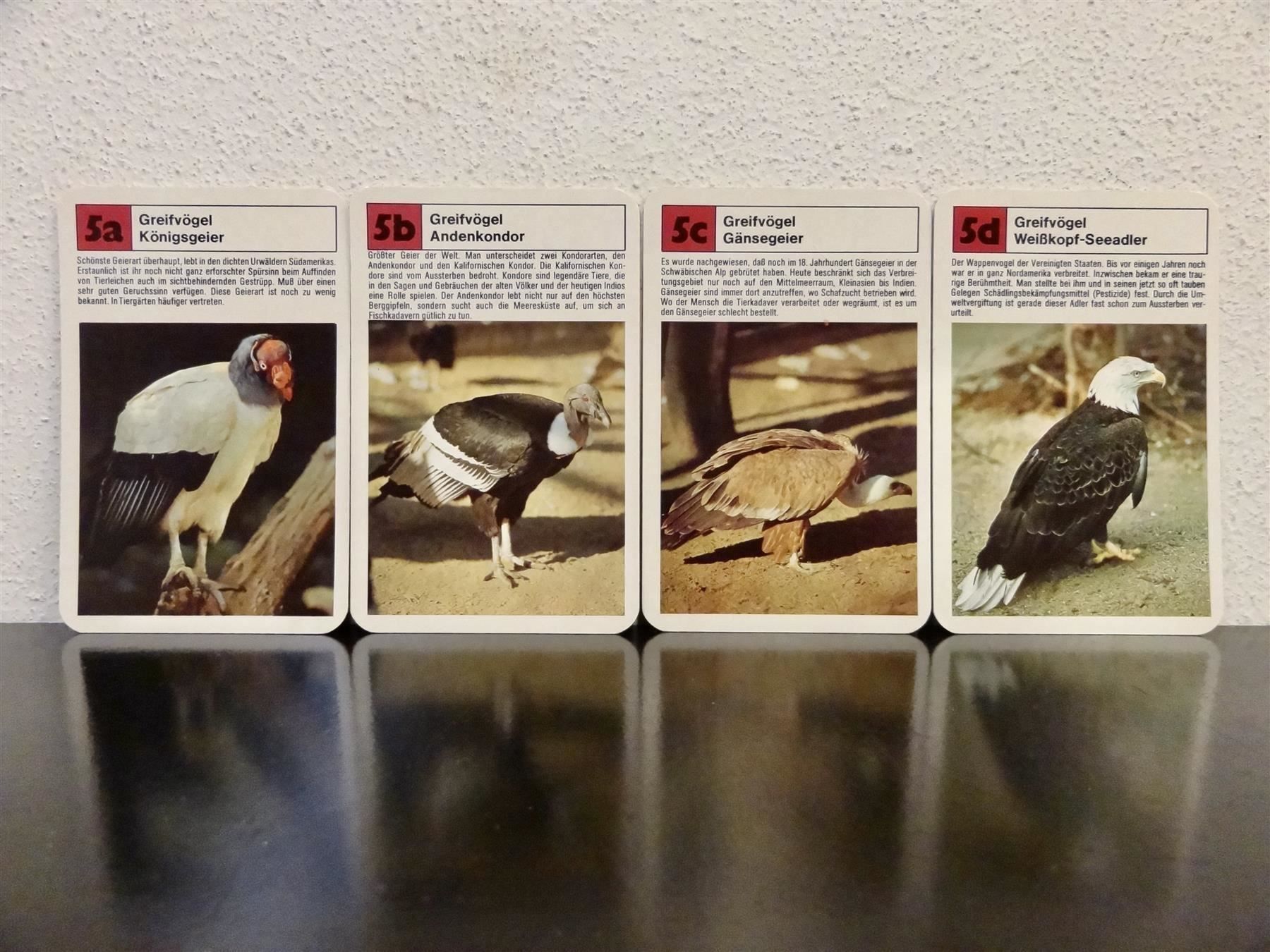 Spiele: Quartett TIER-QUARTETT ZOO-TIERE – Gebraucht aus Kerzers von wisaundso 5
