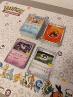 Pokémon 30 Jahre Bulk Karten DE