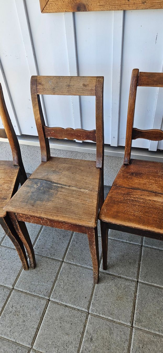 Sedie: 5 antike stühle – Usato da ZIHLSCHLACHT venduto da Raja9 2