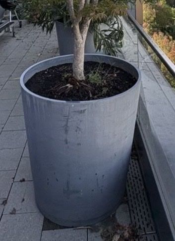 Vasi per fiori: Grosser runder Pflanzentopf – Usato da Trimbach venduto da Mawu71 3