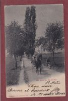 Une route du Val de Ruz - 1902 - St.Martin