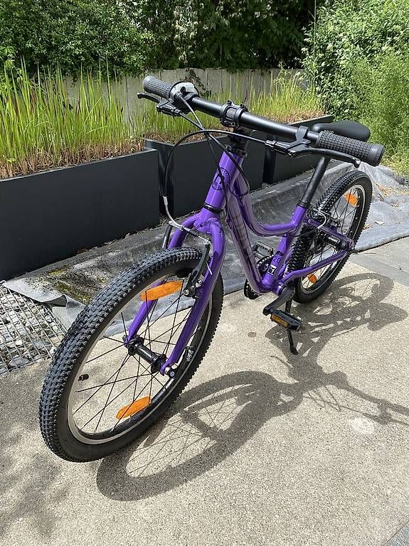 Naloo Velos: Kindervelo Naloo Chameleon MK2, 20" – Gebraucht aus Hombrechtikon von bluelake83 1