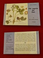 Vita segreta dei fiori No.8 Bib. dell'Amatore Mondadori 1965