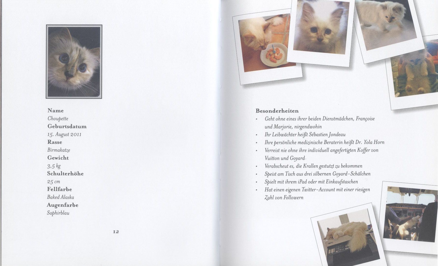 Libri: KARL LAGERFELD und Katze CHOUPETTE – Usato da Biel/Bienne venduto da 07helios032 2
