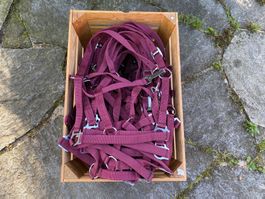 50 schöne Nylonhalftern