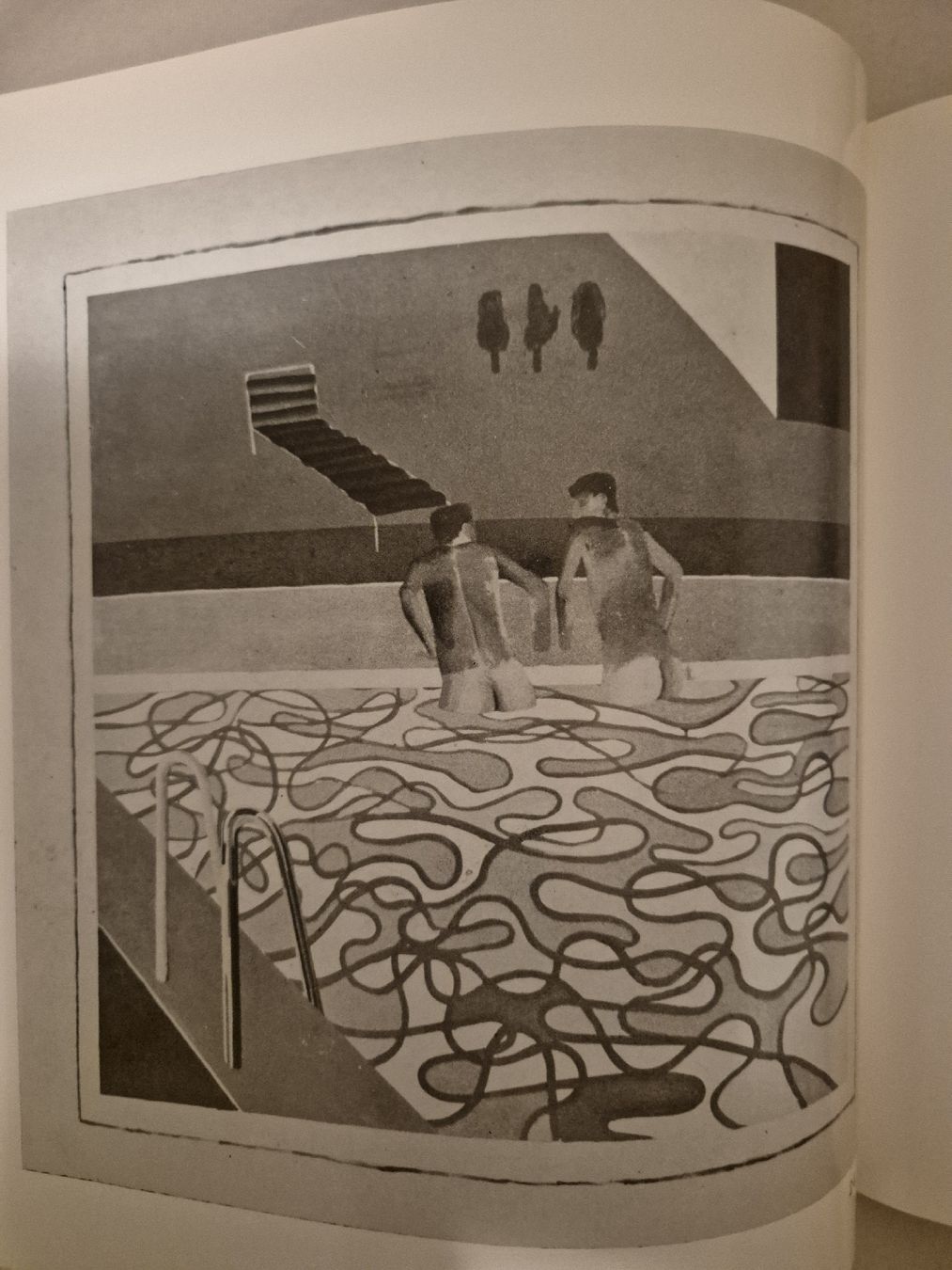 Libri: David Hockney. Beograd 1970 – Usato da Basel venduto da dsc_bnp7