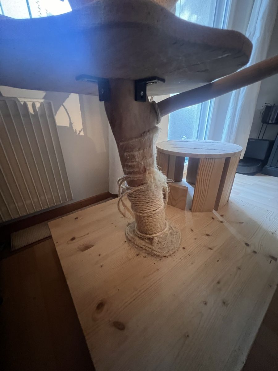 Katzenbaum - Kratzbaum: Katzenbaum – Gebraucht aus Hinwil von Michelle.C 2
