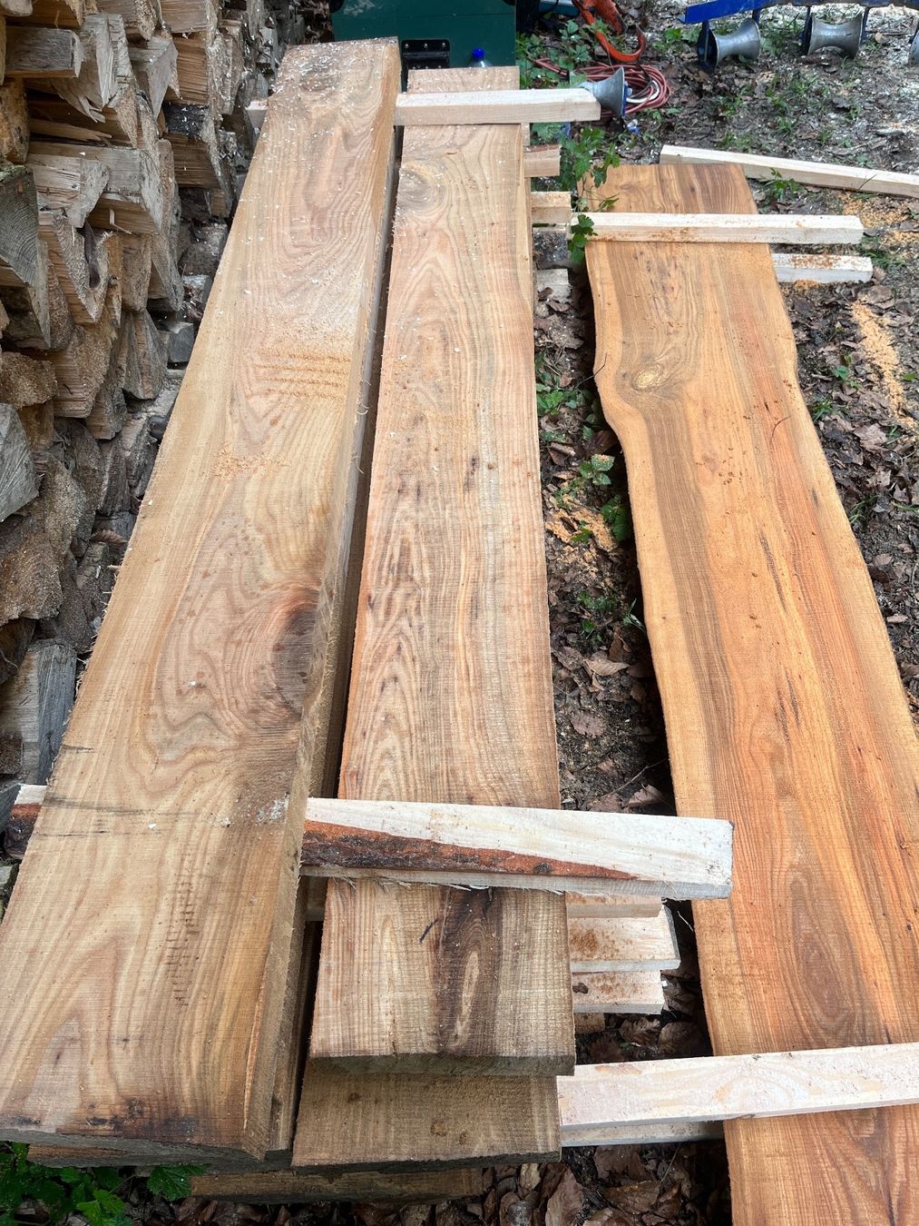 Articles en bois: Ulmen Bretter – Neuf (Voir description) à Sirnach par 2447matthias
