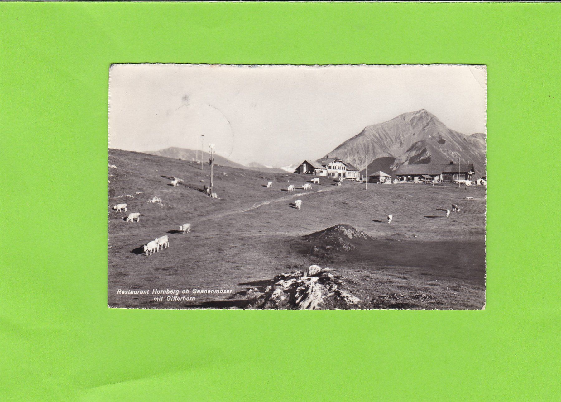 Cartoline postali: Restaurant Hornberg – Usato da St. Peterzell venduto da neckertal