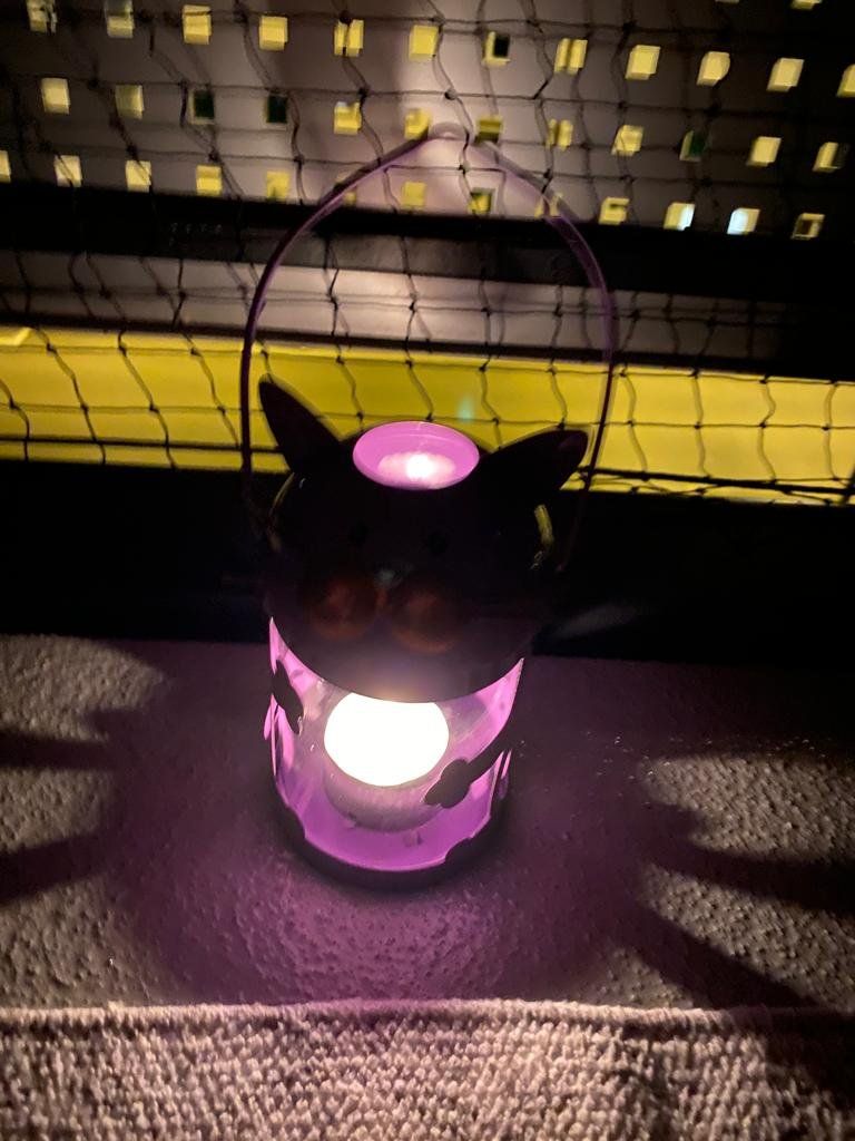 Lanterne: Laterne mit Kerze - Katzenmotiv – Usato da Rümlang venduto da Cat-Judy 7
