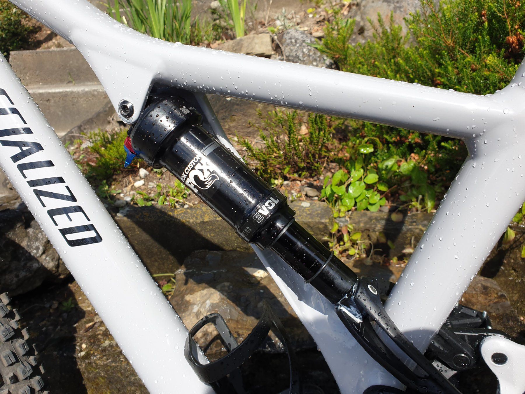 Specialized Biciclette: Specialized Stumpjumper Comp Alloy 29 (2020) – Usato da Ollon VD venduto da mar_m7gb 5