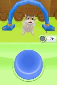 Nintendo Giochi: 😎Petz Hamster Superstar  DS – Usato da Schüpfheim venduto da Games_Spielkonsolen 4